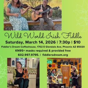Wild World Irish Fiddle Flyer for March 14th