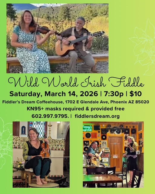 Wild World Irish Fiddle Flyer for March 14th